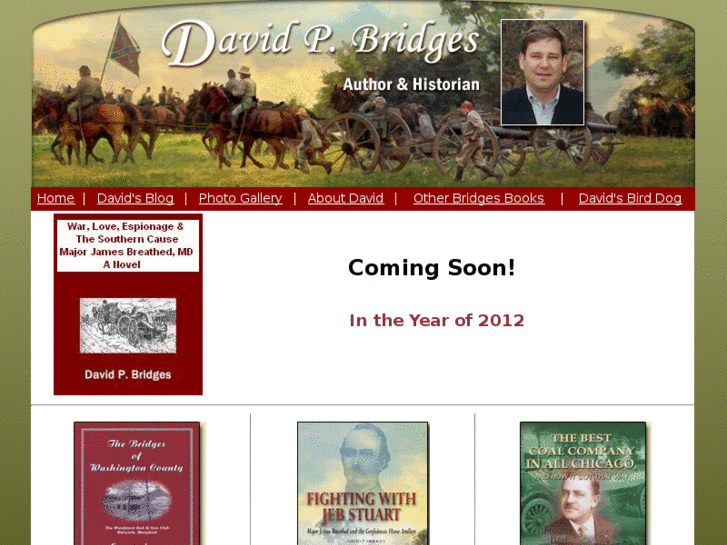 www.davidpbridges.com
