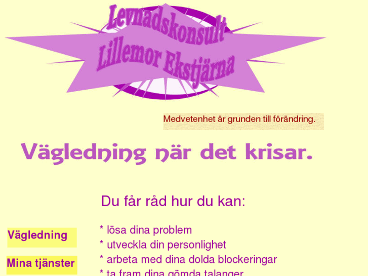 www.levnadskonsult.com