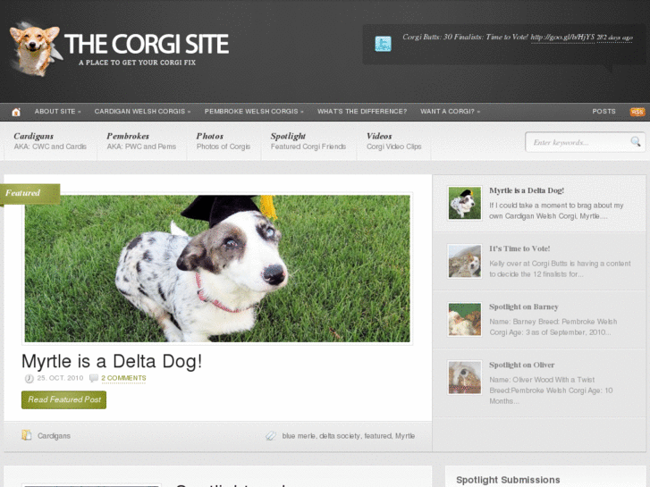 www.thecorgisite.com