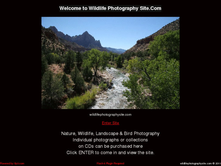 www.wildlifephotographysite.com