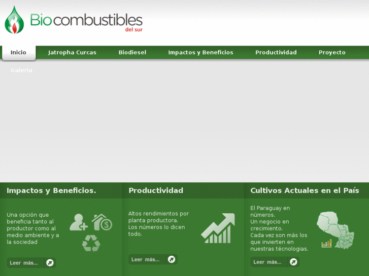 www.biocombustibledelsur.com