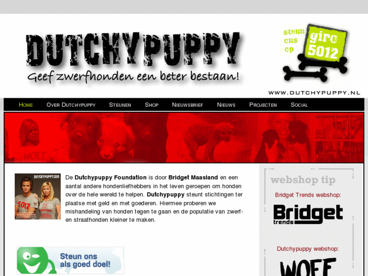 www.dutchpuppy.nl