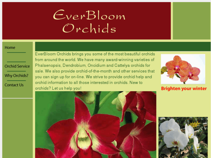 www.everbloomorchids.com