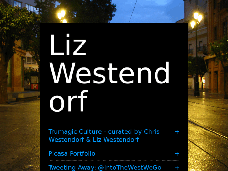 www.lizwestendorf.com