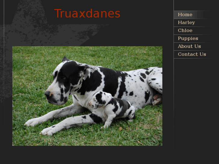 www.truaxdanes.com