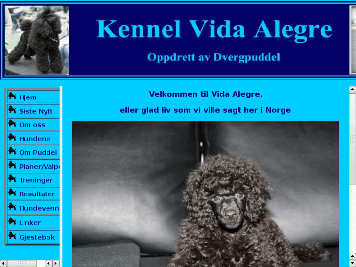 www.vidaalegre.net