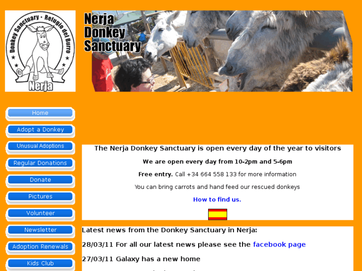 www.donkeysanctuary.es