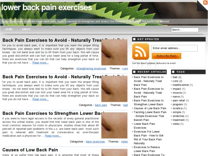 www.lowerbackpainexercises.net