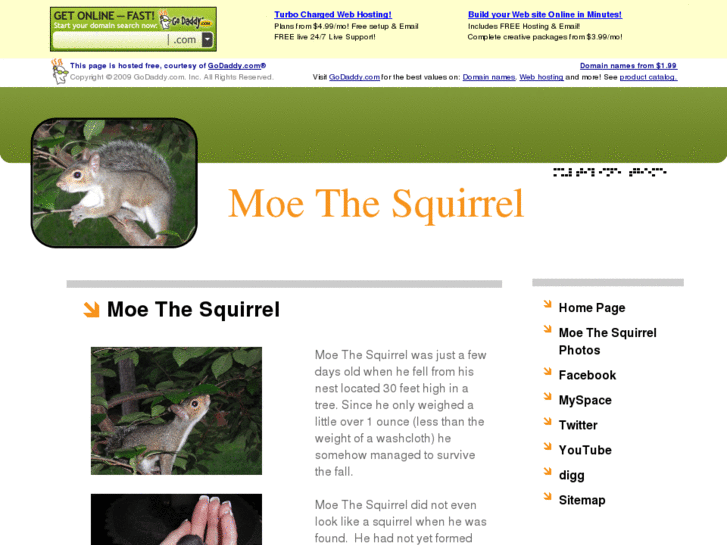 www.moethesquirrel.com