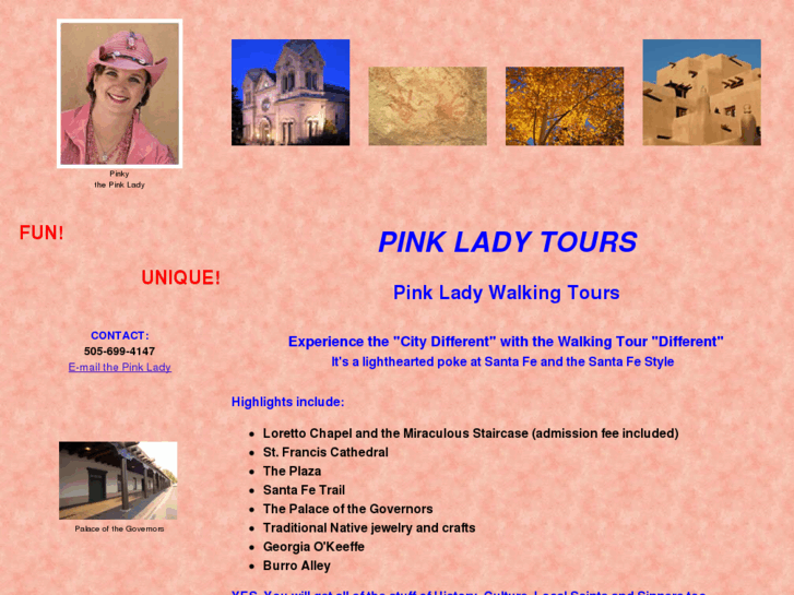 www.pinkladytours.com