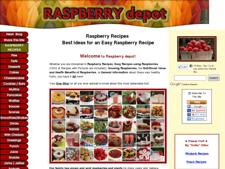 www.raspberry-depot.com