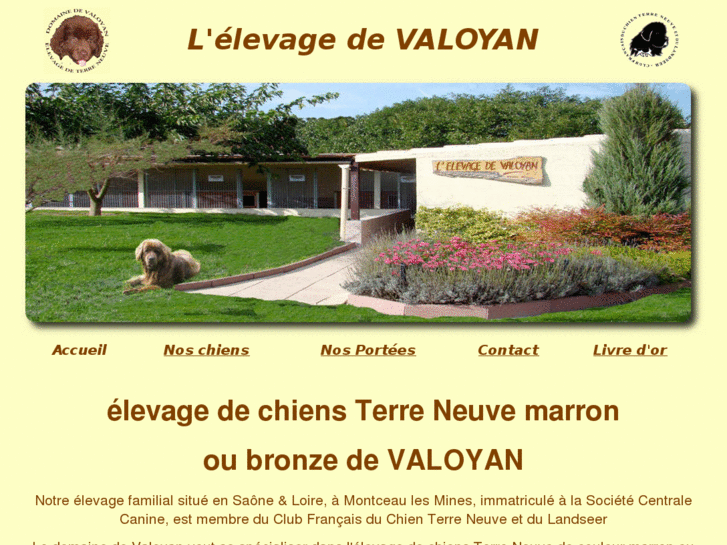 www.terre-neuve-marron.com