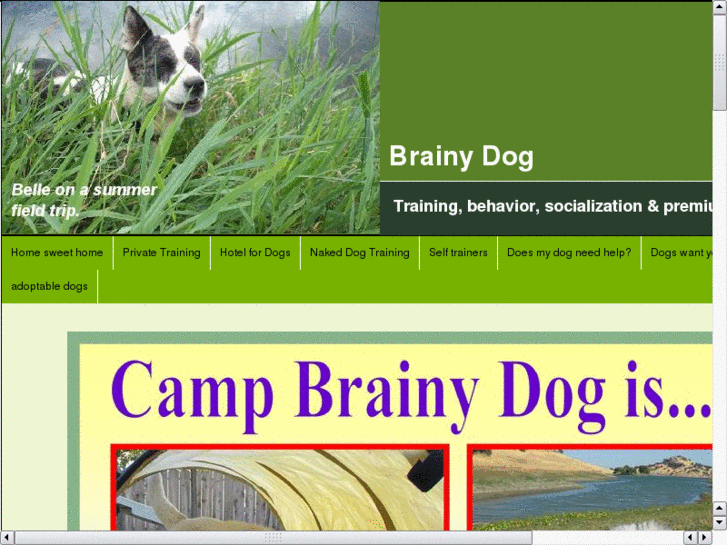 www.brainydog.net