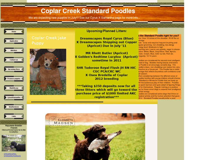 www.brownandredstandardpoodlesofcoplarcreek.com