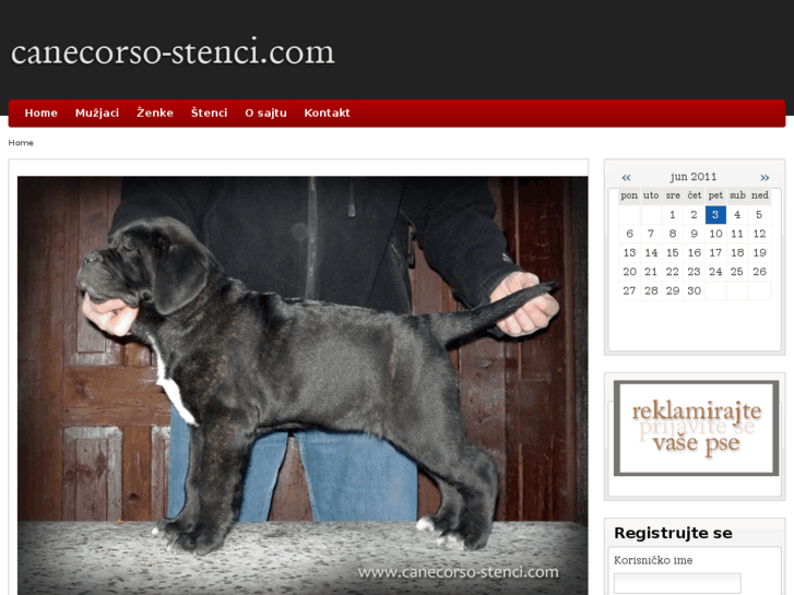 www.canecorso-stenci.com