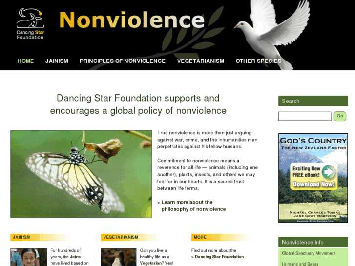 www.dancingstarnonviolence.org