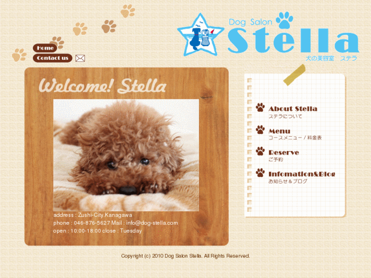 www.dog-stella.com