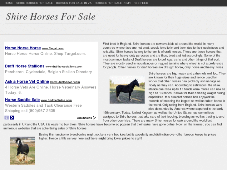 www.shirehorsesforsale.com