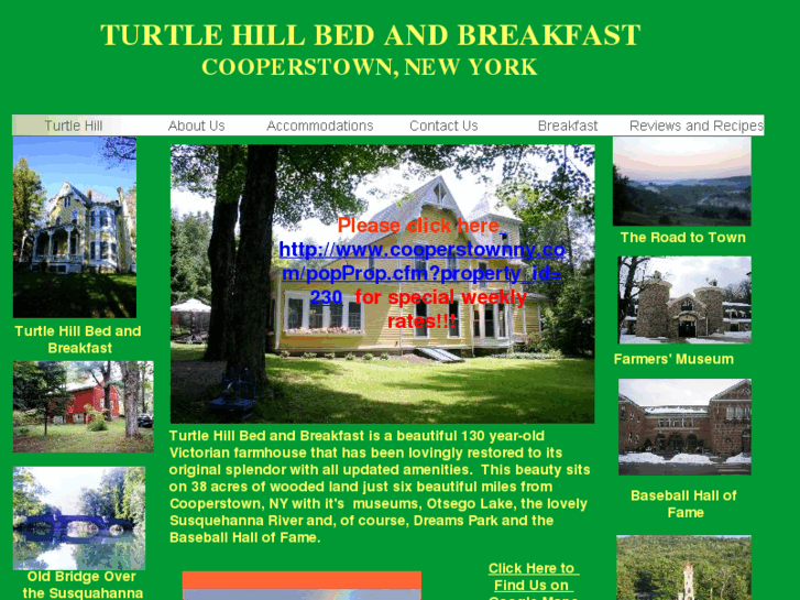 www.turtlehillbedandbreakfast.com