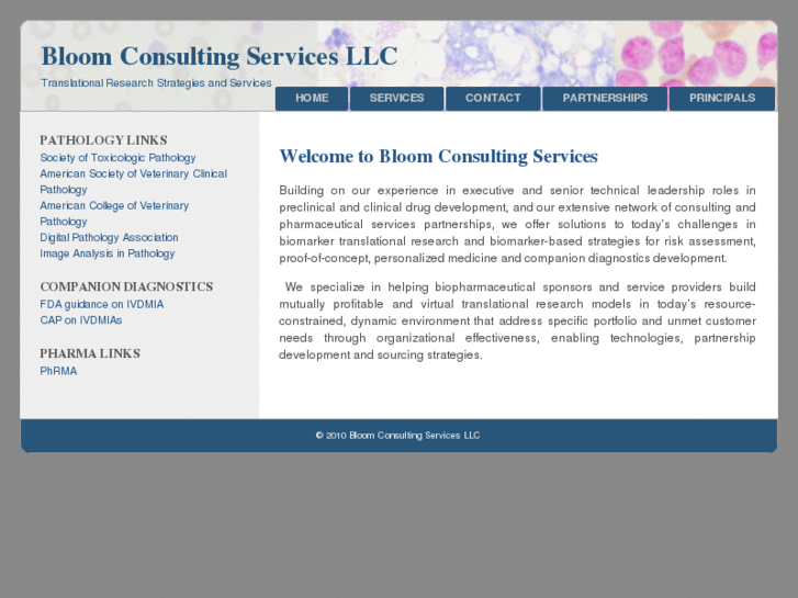 www.bloomconsultingservices.com