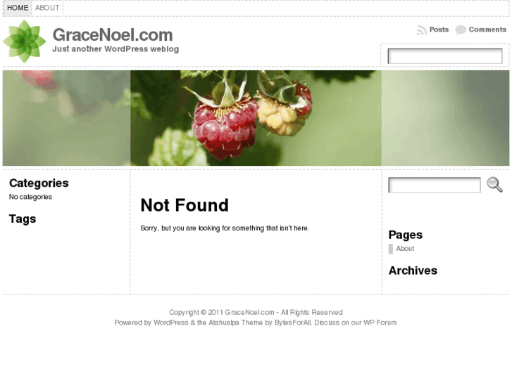 www.gracenoel.com