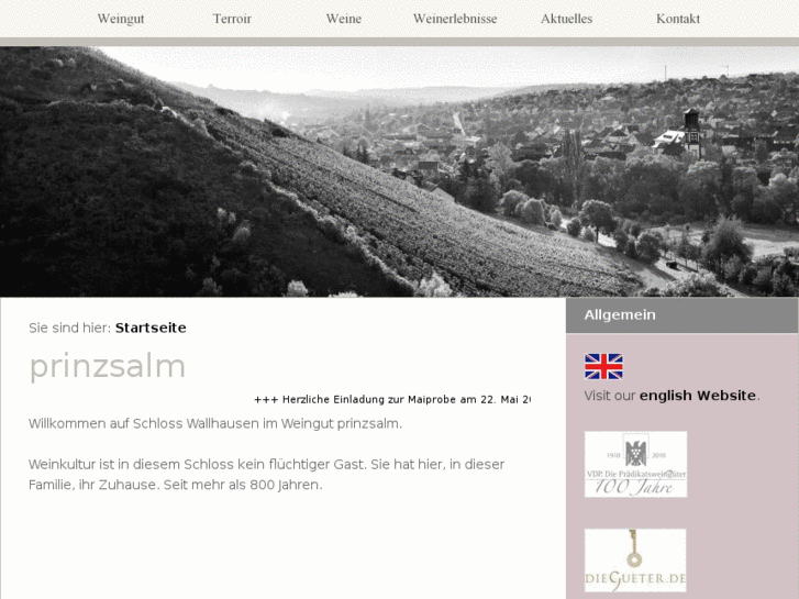 www.prinzsalm.com