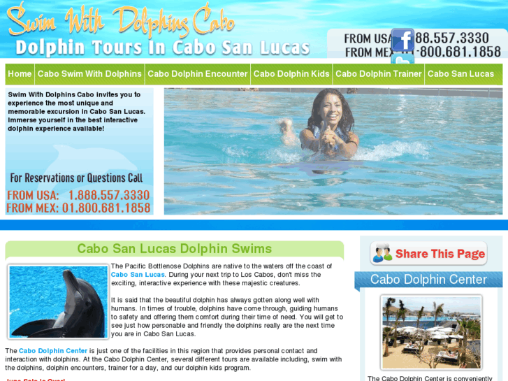 www.swimwithdolphinscabo.com