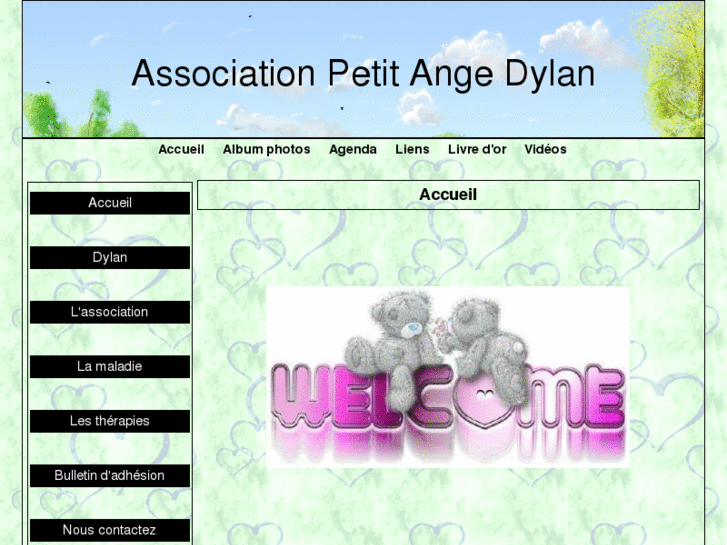 www.associationpetitangedylan.com