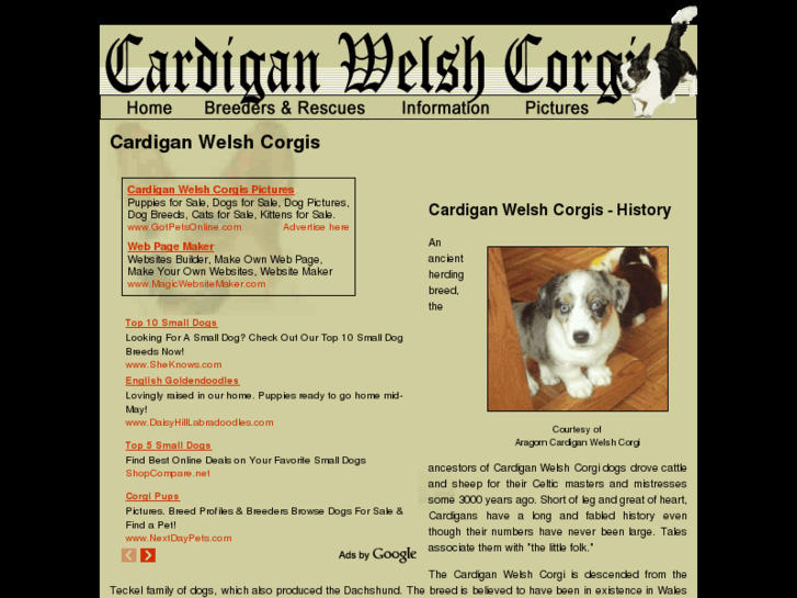 www.cardigan-welsh-corgi-dogs.com