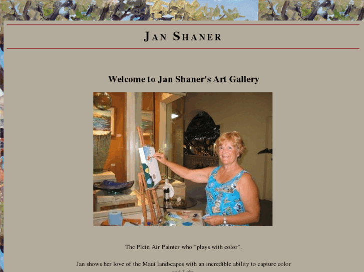 www.mauiartbyjan.com
