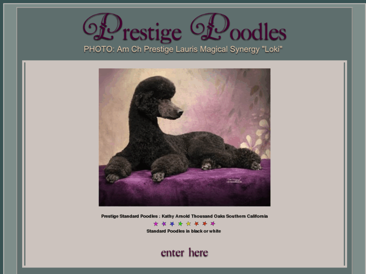 www.prestigestandardpoodles.com