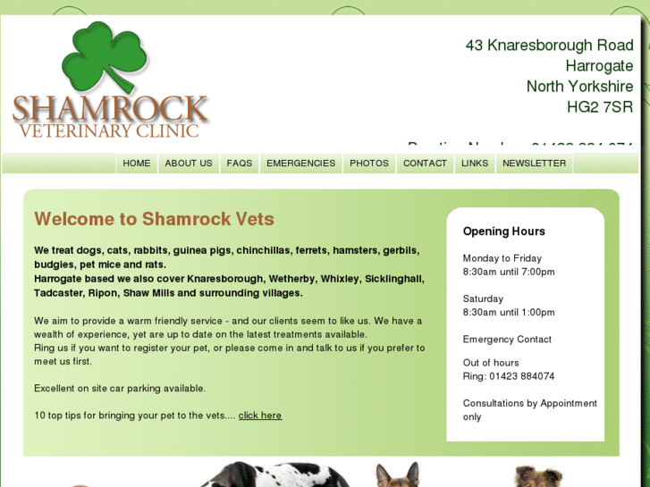 www.shamrockvets.co.uk