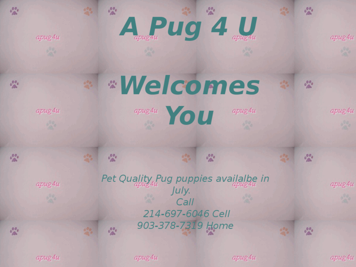 www.apug4u.com