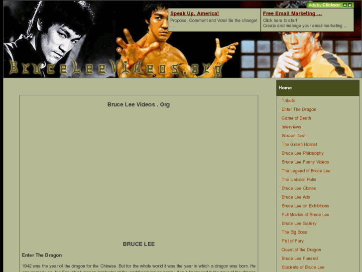 www.bruceleevideos.org