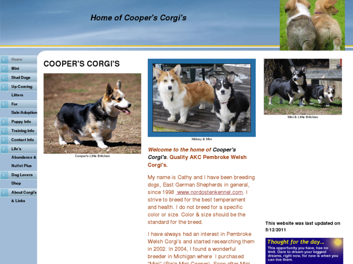 www.cooperscorgis.com