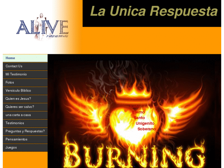 www.launicarespuesta.com