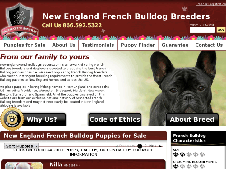 www.newenglandfrenchbulldogbreeders.com