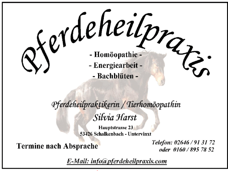 www.pferdeheilpraxis.com