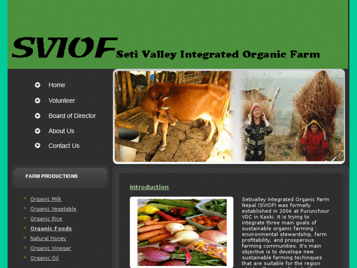 www.sviof.org