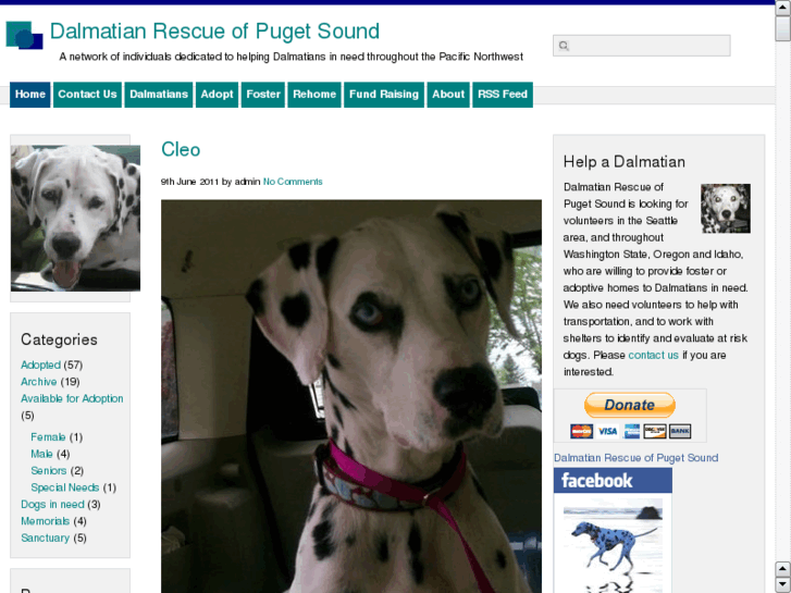 www.dalmatianrescueofpugetsound.org