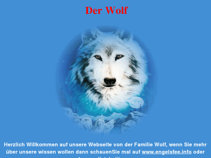 www.dieter-wolf.info