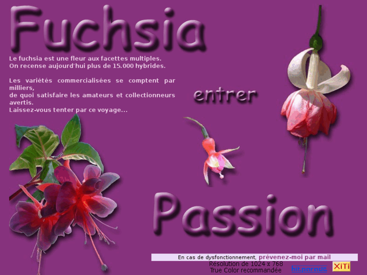 www.fuchsia-passion.com