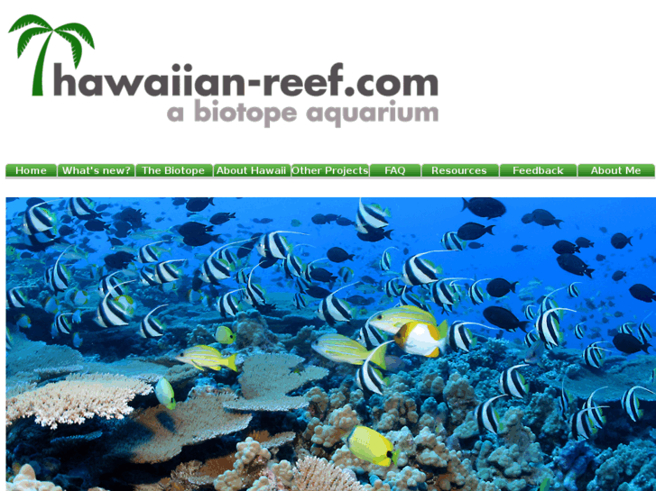 www.hawaiianreef.com