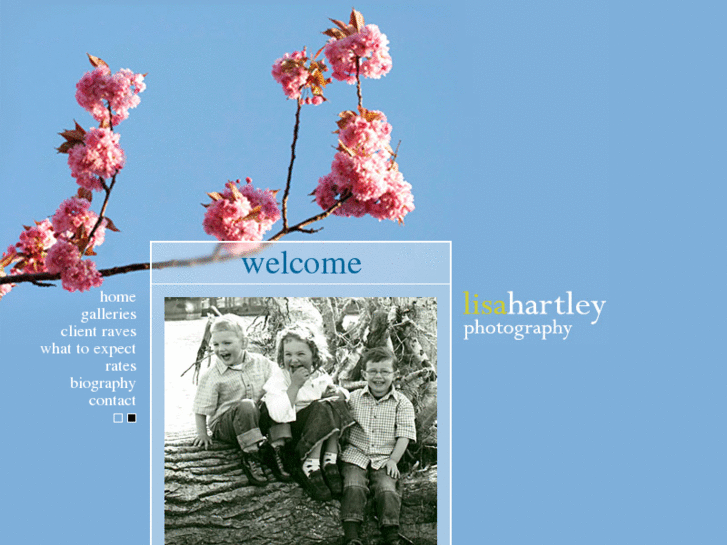 www.lisahartley.com