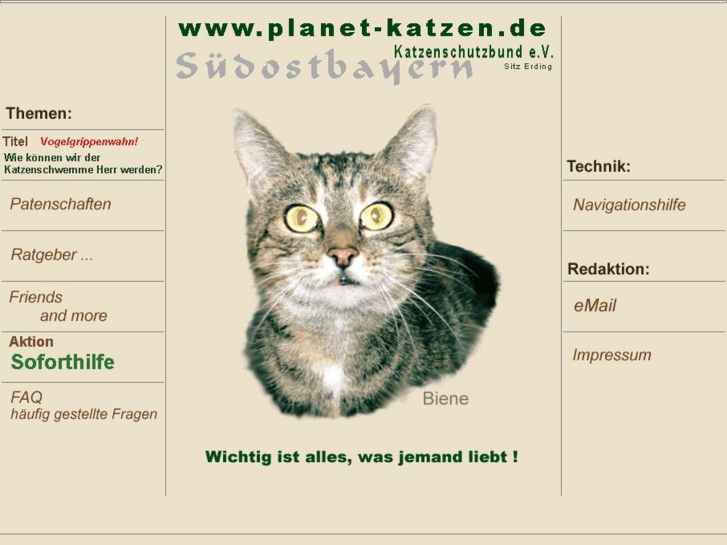 www.planet-katzen.de