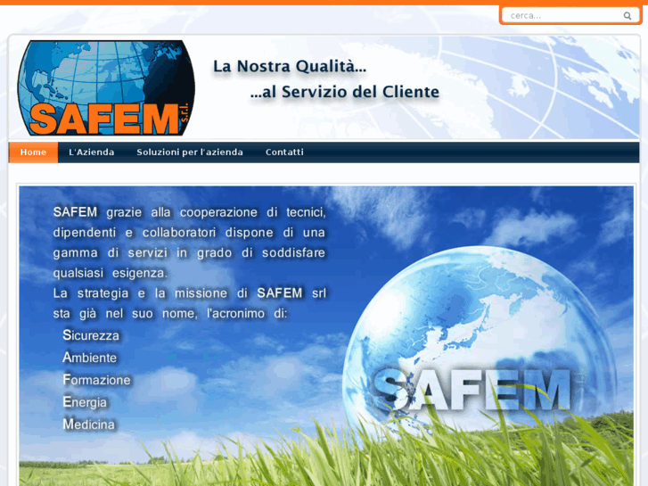 www.safem.net