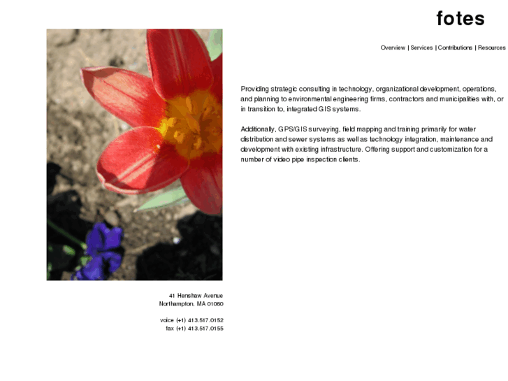 www.fotes.com