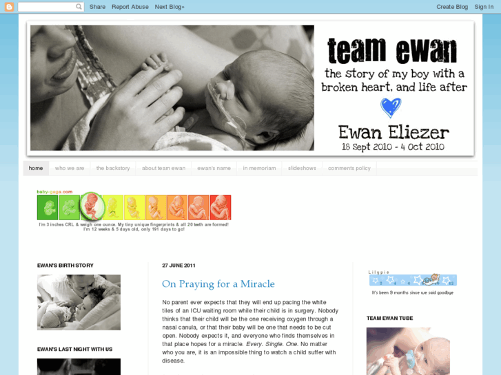 www.team-ewan.com