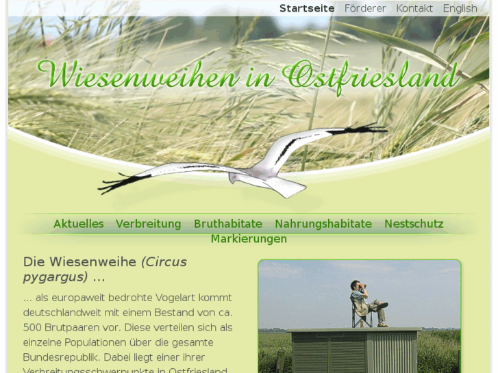 www.wiesenweihen.com