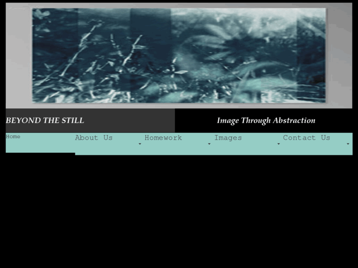 www.beyondthestill.net